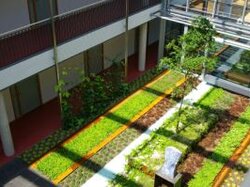  Blick von oben in komplett begrüntes Atrium